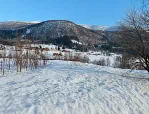 Myrkdalen